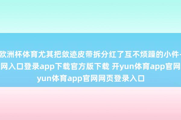 欧洲杯体育尤其把敛迹皮带拆分红了互不烦躁的小件-开yun体育官网入口登录app下载官方版下载 开yun体育app官网网页登录入口