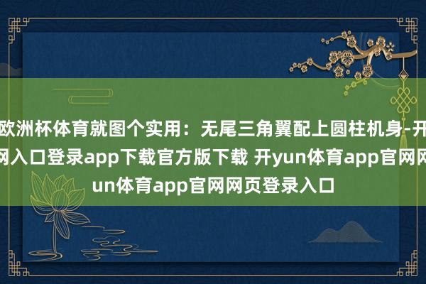 欧洲杯体育就图个实用：无尾三角翼配上圆柱机身-开yun体育官网入口登录app下载官方版下载 开yun体育app官网网页登录入口
