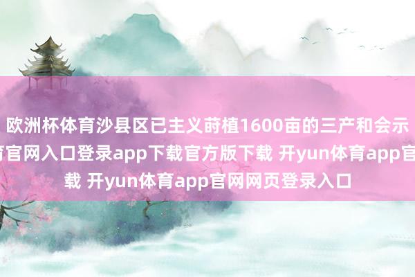 欧洲杯体育沙县区已主义莳植1600亩的三产和会示范园-开yun体育官网入口登录app下载官方版下载 开yun体育app官网网页登录入口